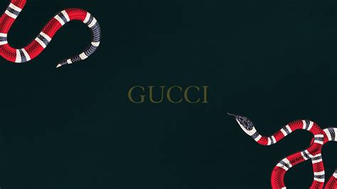 snake gucci wallpaper